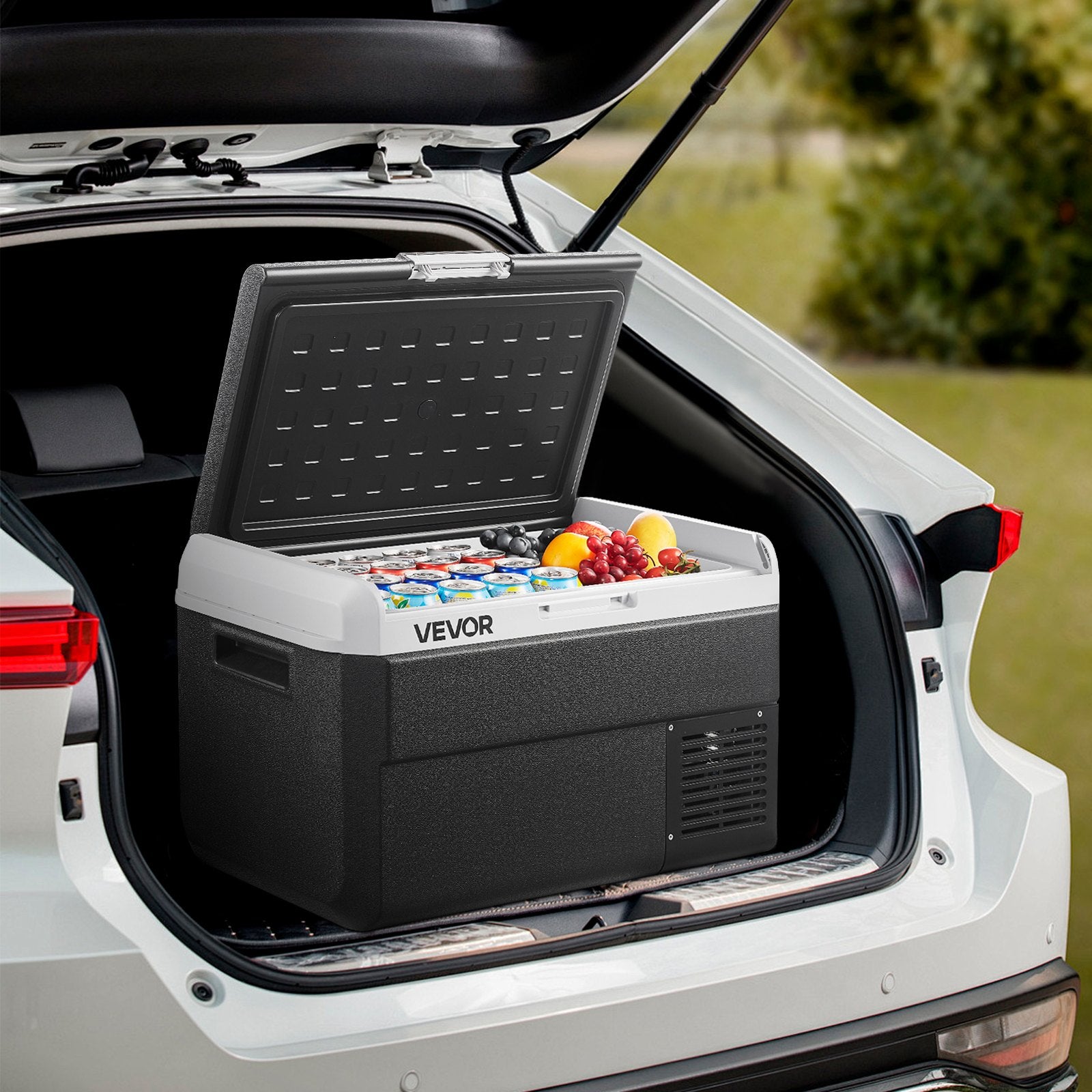 Portable Freezer