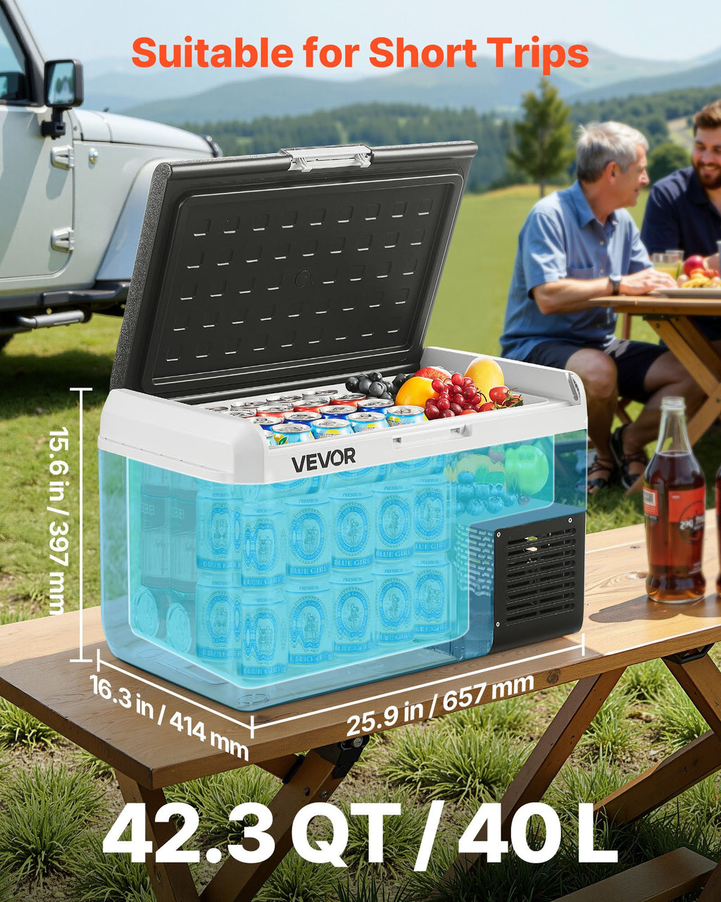 Portable Freezer