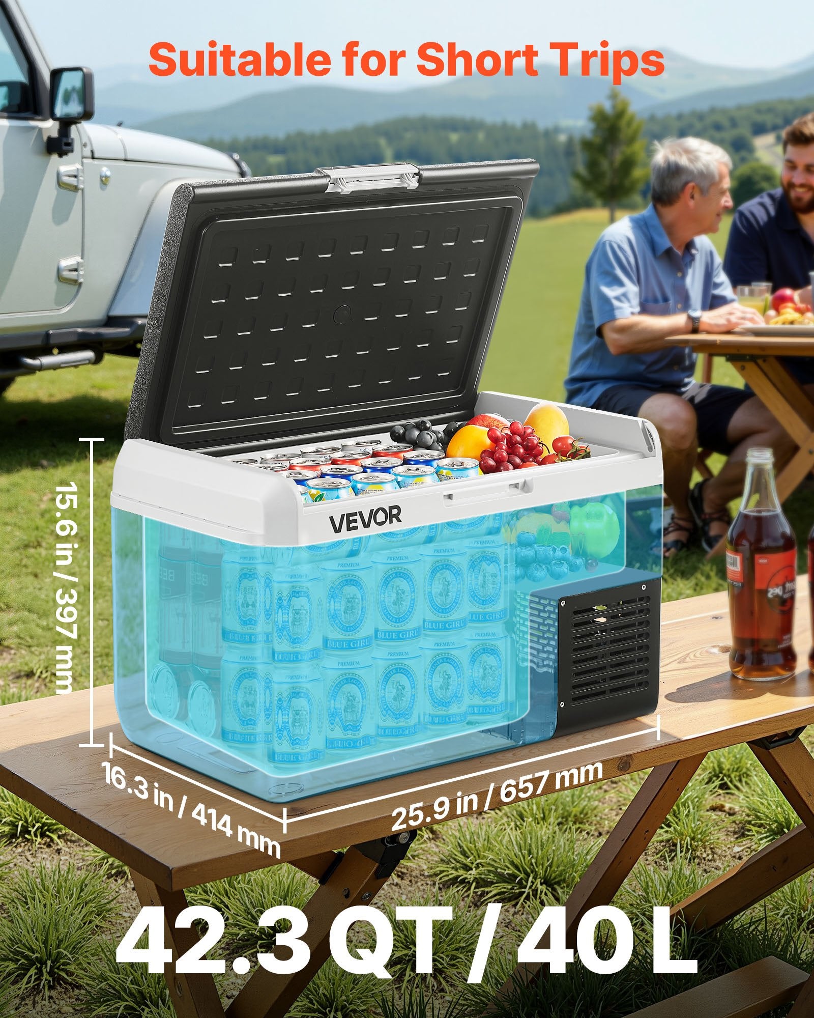 Portable Freezer